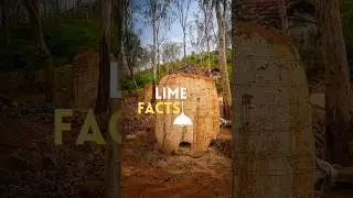 Lime (CaCo3) Facts - thannal.com