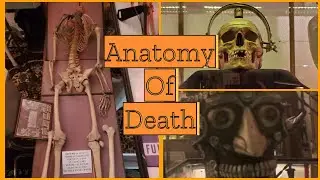 ANATOMY OF DEATH MUSEUM Mount Clemens Michigan walkthrough tour real human body parts #halloweenlife
