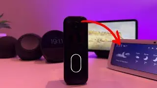 Как подключить Blink Doorbell к Amazon Echo