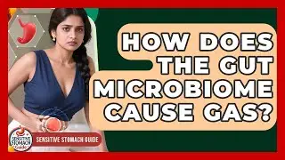 How Does The Gut Microbiome Cause Gas? - Sensitive Stomach Guide