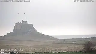 Views From The UK - Holy Island - Tuesday 20 January