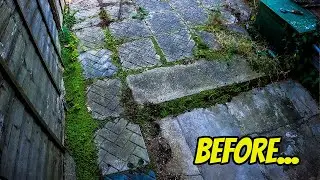INSANELY WEEDY Patio gets it first clean in DECADES! *Patio Pressure Washing Video*