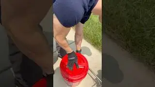 Emergency Wildlife Removal Venomous snake removal Va. #emergencywildliferemoval #snake #snakeremoval