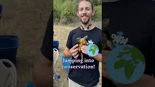 Linfield Environmental Science dives into hands-on conservation with the northwest pond turtle!🐢