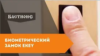 Биометрический замок на входную дверь EKEY