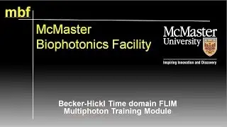 SP5FLIM Module