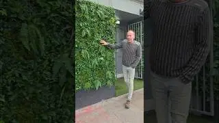 What do you think of Artificial plants? #explore #adventure #gardening #artificialplants #fakeplants