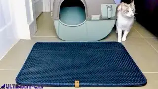 Hate Litter Tracking? Check out the Litter Trap Mat from LitterBox.Com!