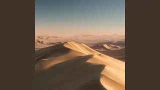The Last Oasis