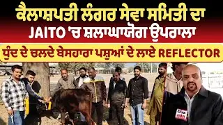 ਕੈਲਾਸ਼ਪਤੀ ਲੰਗਰ ਸੇਵਾ ਸਮਿਤੀ ਦਾ Jaito 'ਚ ਸ਼ਲਾਘਾਯੋਗ ਉਪਰਾਲਾ, ਧੁੰਦ ਦੇ ਚਲਦੇ ਬੇਸਹਾਰਾ ਪਸ਼ੁਆਂ ਦੇ ਲਾਏ Reflector