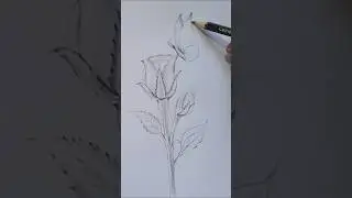 how do draw Rose 🌹#shorts #art #drawing