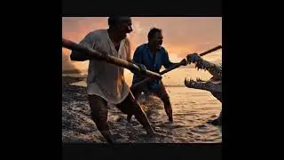 crocodile hunt humans