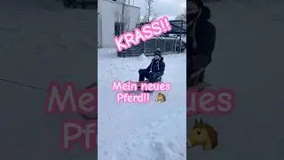 😂 Mein neues Pferd!! 🐴 #shorts #klaraswelt