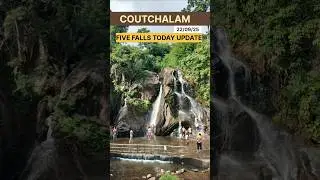 KUTRALAM FIVE FALLS TODAY UPDATE