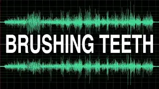Brushing Teeth sound effect