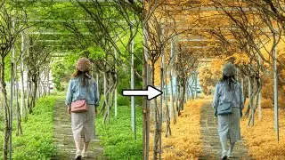 how to create a autumn effect | photopea tutorial