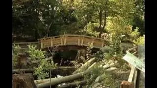 West Van Streamkeepers