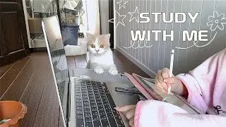 study with me & my cat 🐈 | 1 hour | background noise 📚