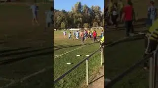 Videorissa Ligornetto - Origlio Ponte Capriasca