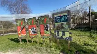 Lemur Walkthrough