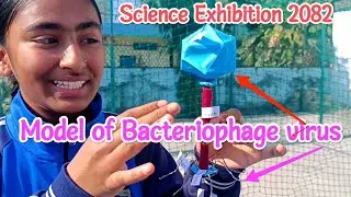 Model of Bacteriophage virus 🦠 | Bacteria eater virus | Science exhibition 2082 @b_vlog  Stepping