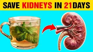 Top 9 Super Drinks to stop Proteinuria quickly and Heal Kidney Fast