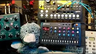 Roland S-1 jam : the fat bitimbral synth (seq + arp V.1.01) // the best SH-101 ?... #horrorcore