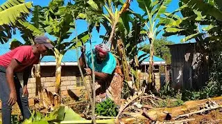 An African Boy Chooses a Quiet Village Life | Living with Grandma