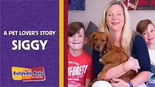 A Pet Lover's Story | Siggy