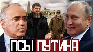 ХАЙП Вокруг АВАРИИ Адама КАДЫРОВА - Гарри Каспаров