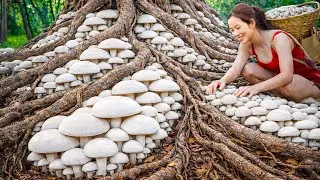 Harvest Rare Dark Mushrooms to Sell | rare mushroom Only Grows in Darkness | Alone Forest Survival