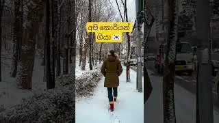 SL Korean reggae Korea