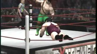 WCW Championship Match Hagger vs Hugo