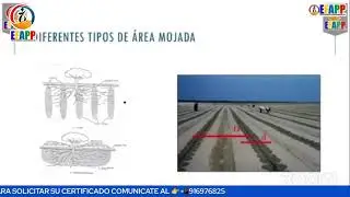 📚𝗖𝗨𝗥𝗦𝗢: DISE&Ntilde;O AGRON&Oacute;MICO Y DISE&Ntilde;O HIDR&Aacute;ULICO DE RIEGO TECNIFICADO POR GOTEO Y ASPERSI&Oacute;N🟤