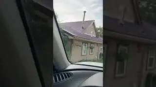 Horse Fly Attack