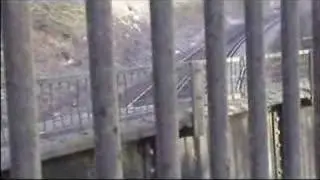 Riddlesdown Viaduct (Croydon)-waiting for the Buffer Puffer