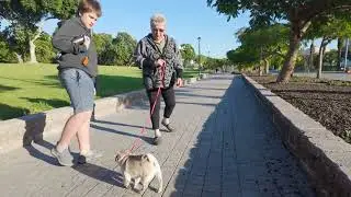 Жора с братом