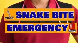 what to do in Snake bite EMERGENCY ? what's Do it R.I.G.H.T? can we tie toriquet? Telugu Video.