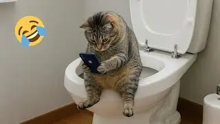 2026 Funny Pets Compilation 😼🐶😂 Try Not To Laugh