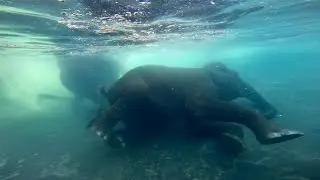 See Burma and Anjalee from a different perspective!