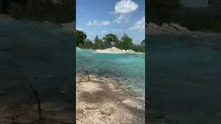 Hydroseeder