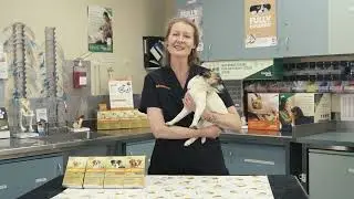 Advocate&trade; for Dogs &ndash; Application demonstration