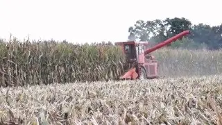 | Corn Harvest | America Old School | New Idea Avco 707 | Italia |