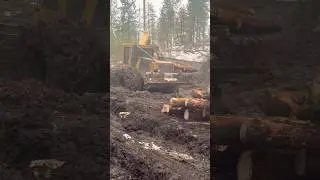 Loggin is the life ! #logging #peterbilt #washington #okanogan #komatsu #woods #tigercat