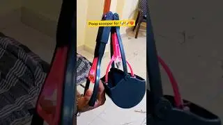 POOP SCOOPER FOR DOGS | POTTY SCOOPER FOR DOGS #goldenretriever #puppy #dog #shorts