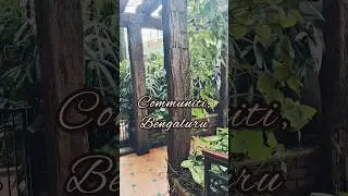 📍Communiti, Bengaluru. #bangalore #cafe #restaurant #shorts #brewery
