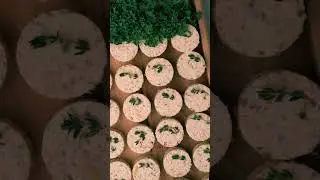 Designing Finger Food in Motion | VERA Pastry & Sweet LLC x Chef Sara Sobhani | Dubai