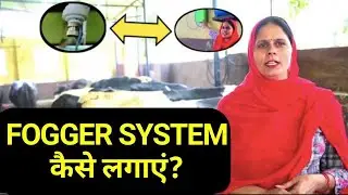 Fogger System for Dairy Farm फॉगर सिस्टम | पशुओं को गर्मी से बचाएं दूध बढ़ाएं, 7015994969