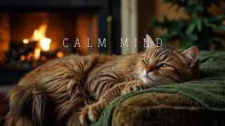 2 Hours Of Peaceful Piano & Purring Cat in a Cozy Room for Anxiety Relief & Deep Relaxation