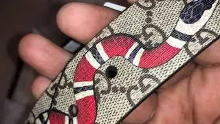 Gucci Supreme GG King Water Snake Belt Unboxing